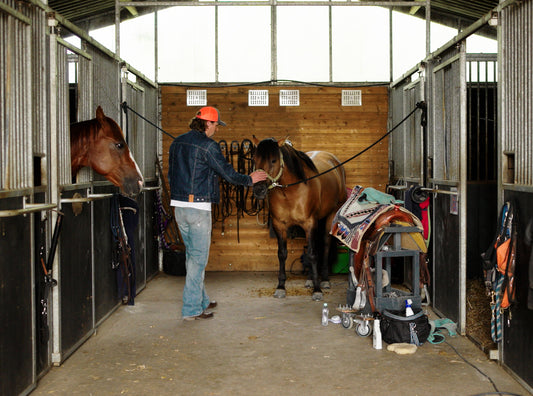 Life in Red Wing - Rene Kramers