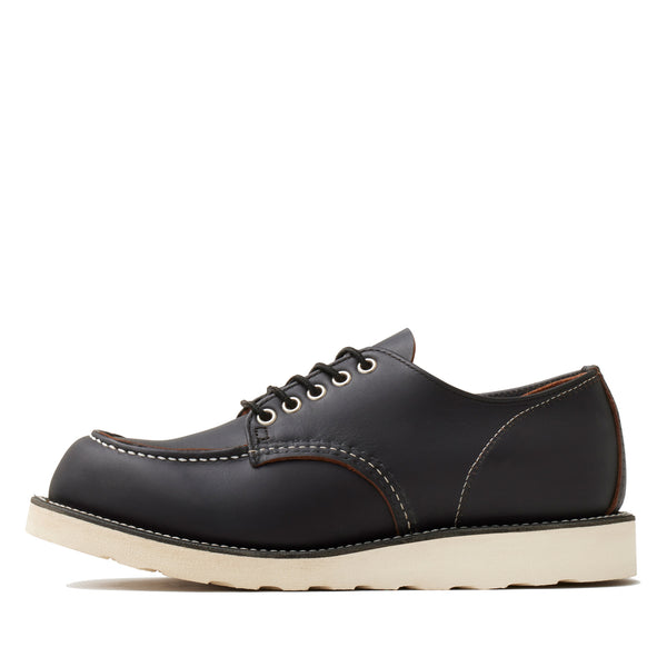 irish setter oxford